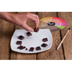 PACARI Cata de Chocolates Online desde Ecuador