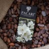 PACARI Chocolate Negro Orgánico Jazmin - Barra 50gr